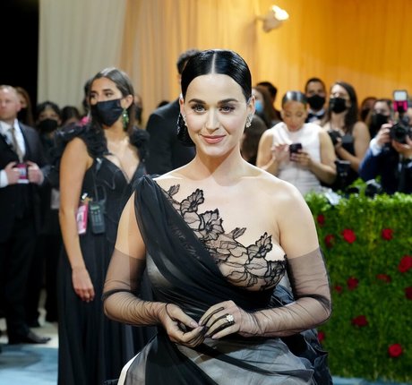 Katy Perry 独占ポルノスター アーカイブ