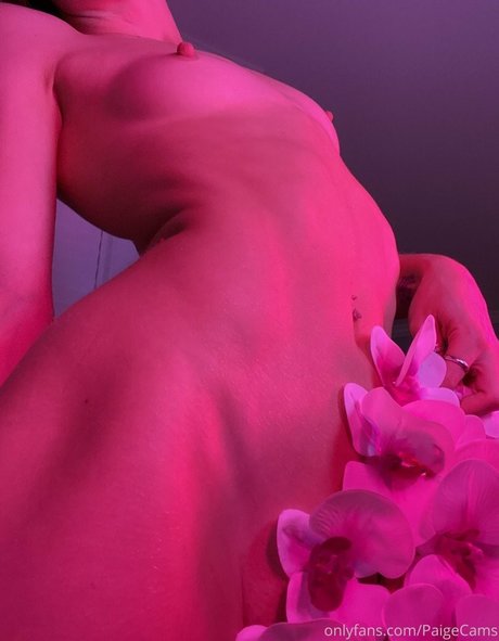 paigecams エロティックなスター ギャラリー
