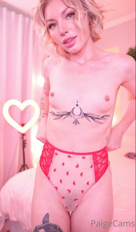 paigecams ヌードスター ギャラリー