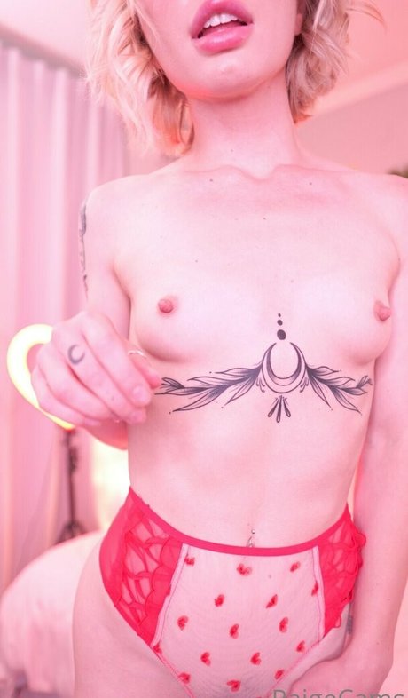paigecams HDモデル 写真
