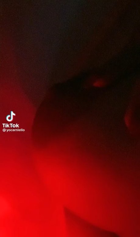 Carniello ポルノスター 独占 画像