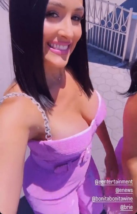 The Bella Twins 無料モデル ギャラリー