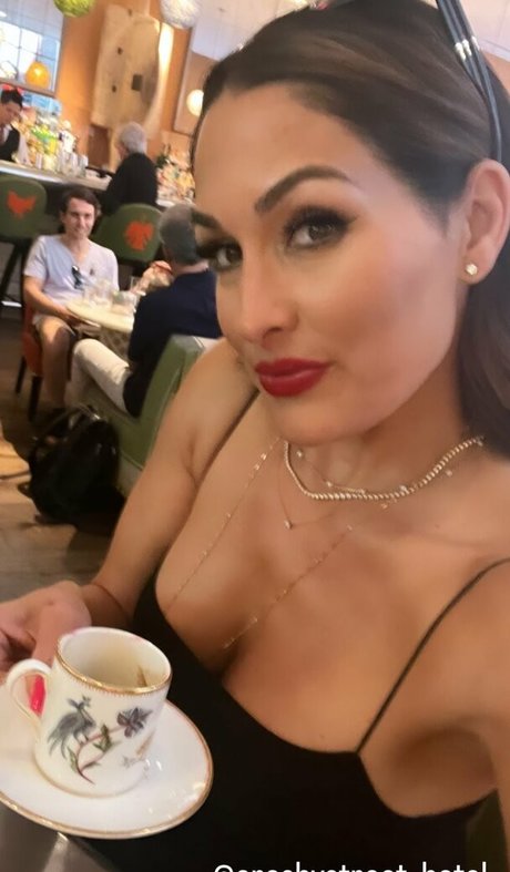 The Bella Twins ポルノスター セックス 画像