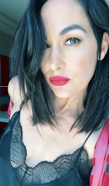 The Bella Twins ヌード女優 アーカイブ