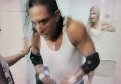 Torrie Wilson ホットなスター 写真