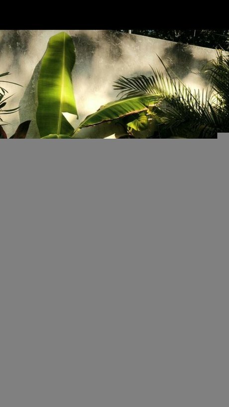 Luna Stevens 素敵なスター 写真