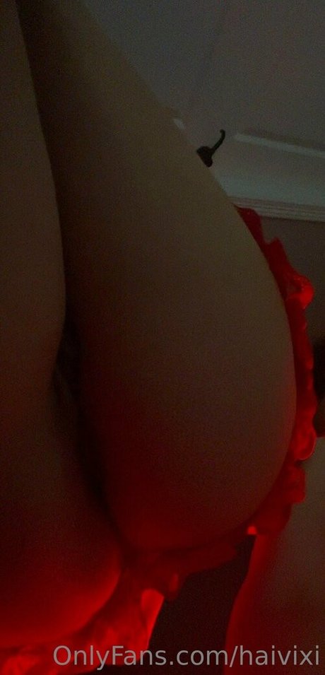 haivixi 高品質女優 写真