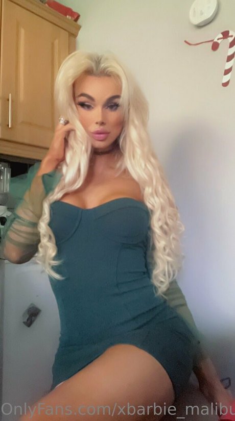 xbarbie malibux トップモデル 写真