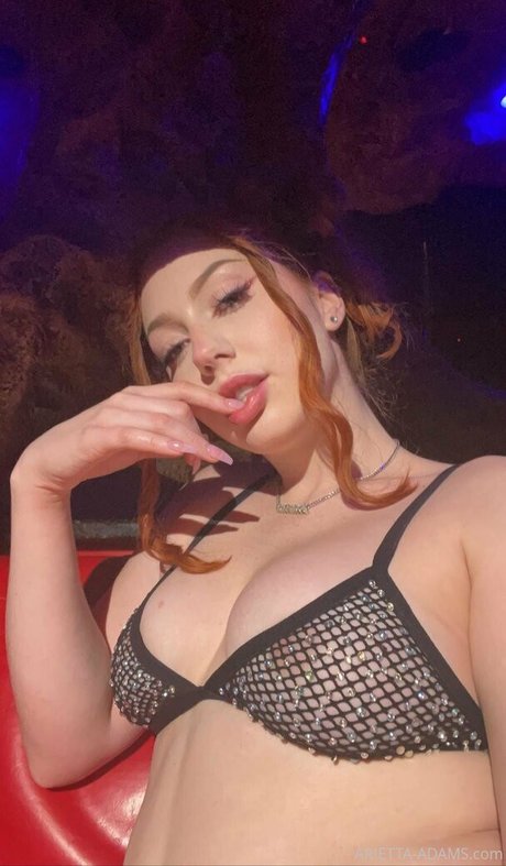 Ariettaadamsxxx 素敵なモデル 画像