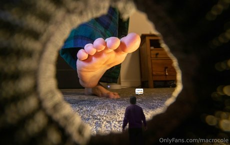 macrocole セクシーなスター 写真