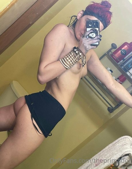 theprimadoll エロティックなモデル 写真
