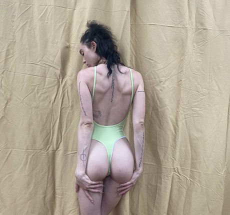 Taylor Zahn HDモデル 画像