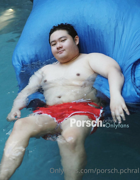 porsch pchral アートスター 写真