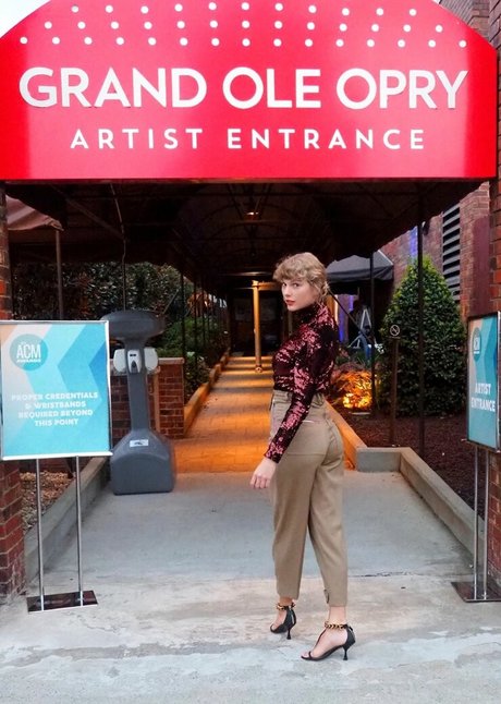 Taylor Swift 完璧なスター 画像