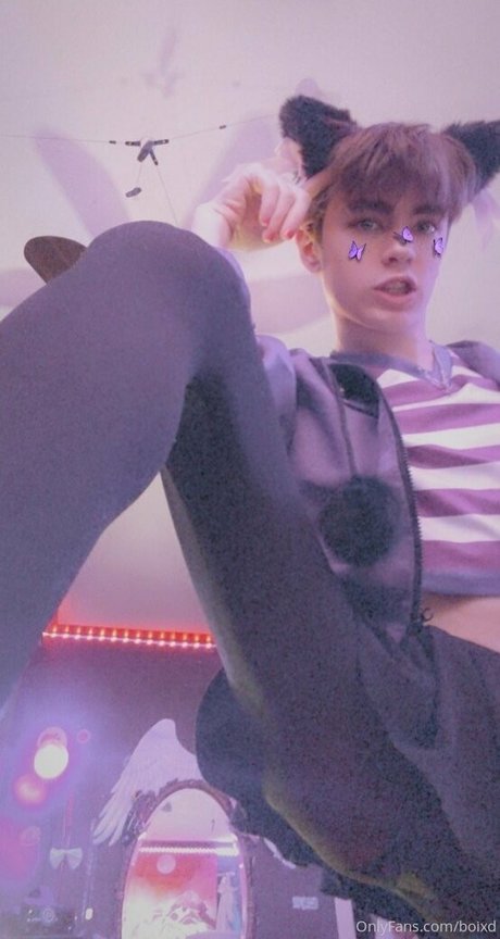 boixd かわいいスター 写真