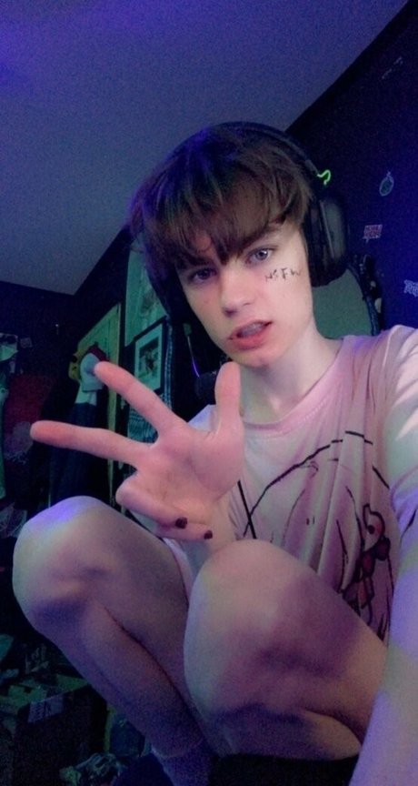 boixd 限定スター ギャラリー