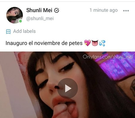 shunli mei 素敵なスター ギャラリー