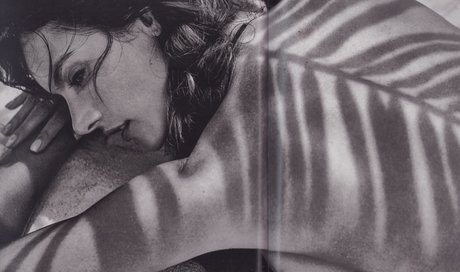 レズビアンの猫OnlyFans 美しいヌード 写真