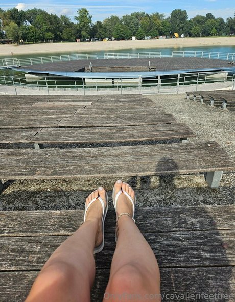 cavalierifeetfree ポルノスター 素敵 写真