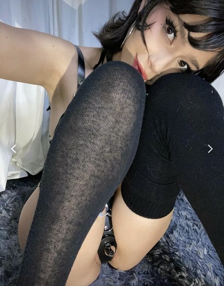 Daisyrot ホットなポルノスター 画像