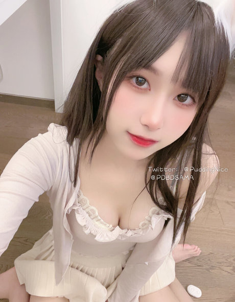 Puddingnice アダルトスター アーカイブ