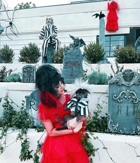 Alessandra Torresani ホットスター ギャラリー