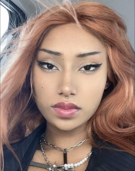 Lilecchigirl top profile image