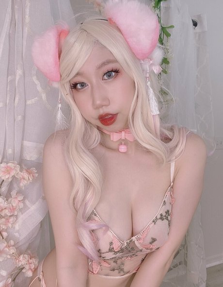 Danisaurz 限定スター アーカイブ