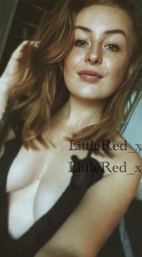 LittleRed x HDモデル 画像