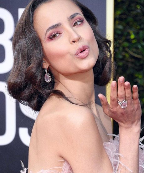 Sofia Carson XXXモデル 画像