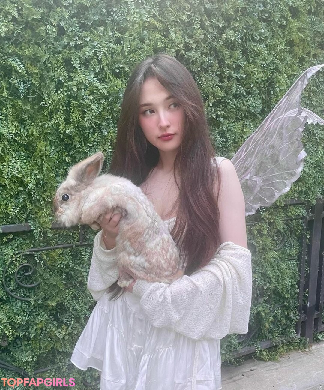 Tinakitten HDモデル 写真