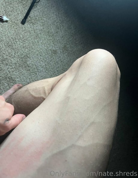 nate shreds ポルノスター パーフェクト 写真