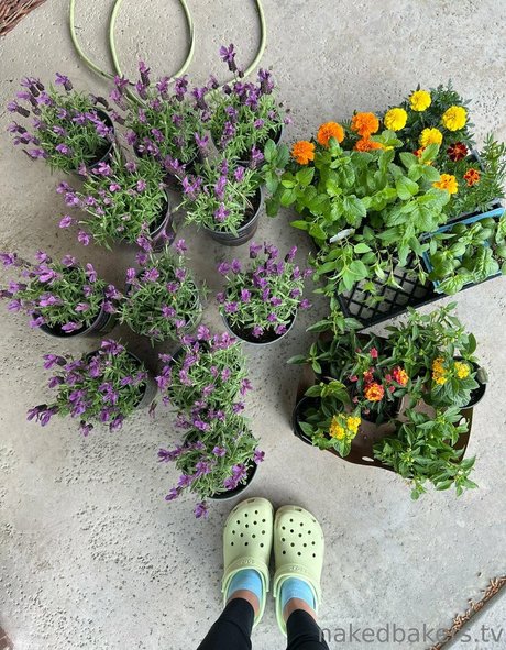 NakedBakers アダルト女優 写真