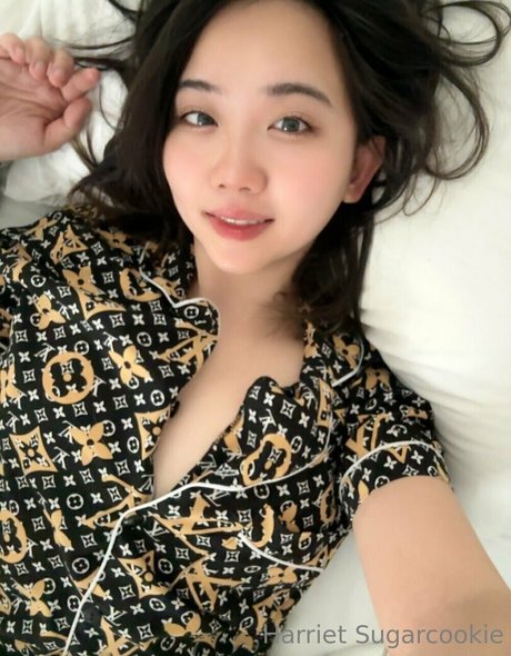 harrietsugarcookie スター 画像