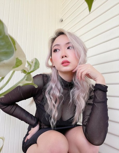 harrietsugarcookie ヌードのポルノスター 画像