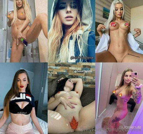 debrafox 独占モデル 写真