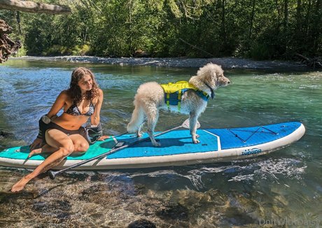 doitwithdaisy ポルノモデル ギャラリー