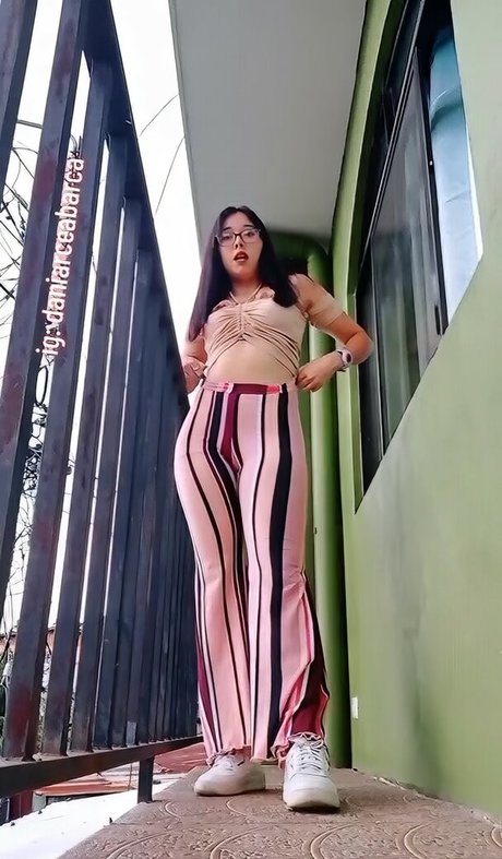 Dani Arce トップスター 写真
