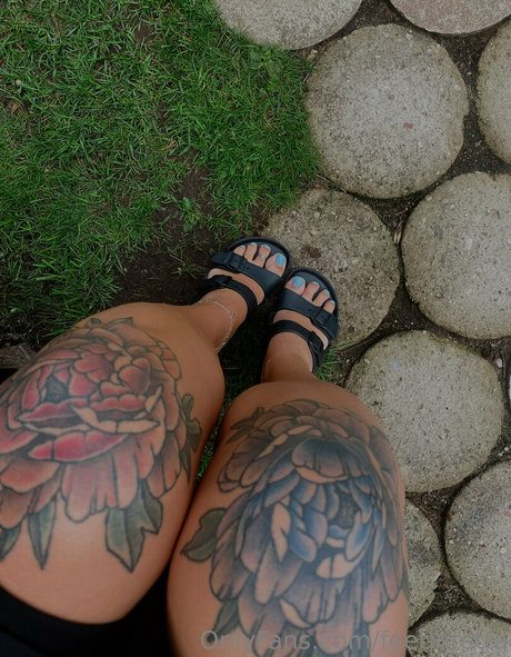 feetloretta 美しいスター 写真