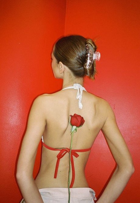 Bianca Finch アートスター 画像