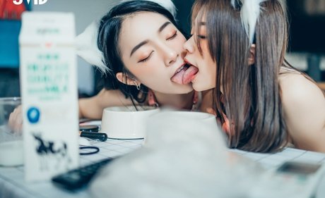 Tsai 919 限定モデル 画像