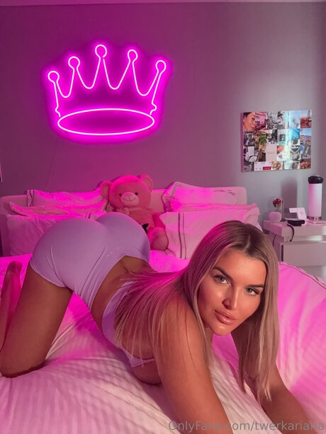 twerkariana アートスター 画像