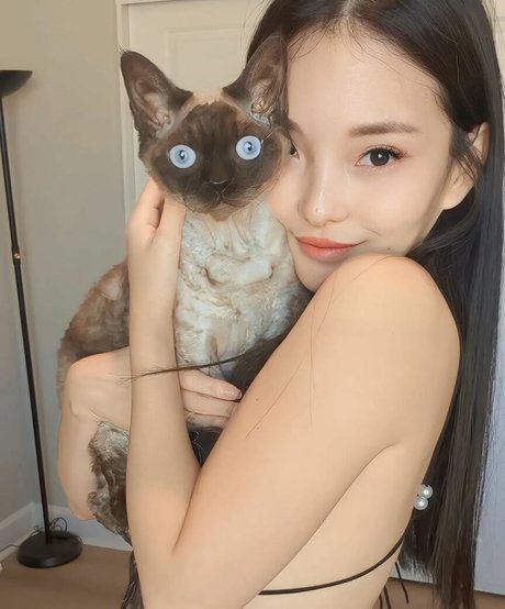 Codemiko ポルノスター セクシー 写真