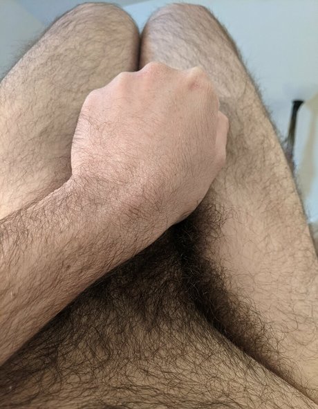 hairhound 素敵なスター 写真