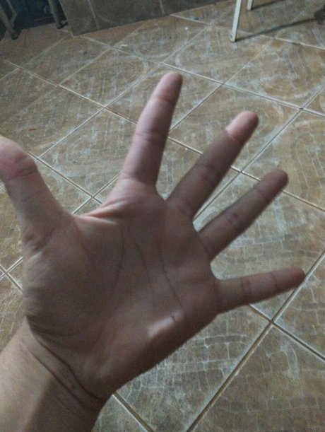 mastersize22 ポルノスター パーフェクト 写真