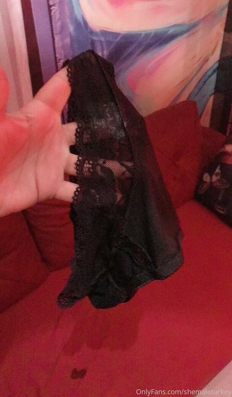 shemaleturkey ヌードスター 写真