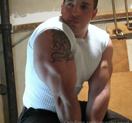 musclesexual HDスター 写真