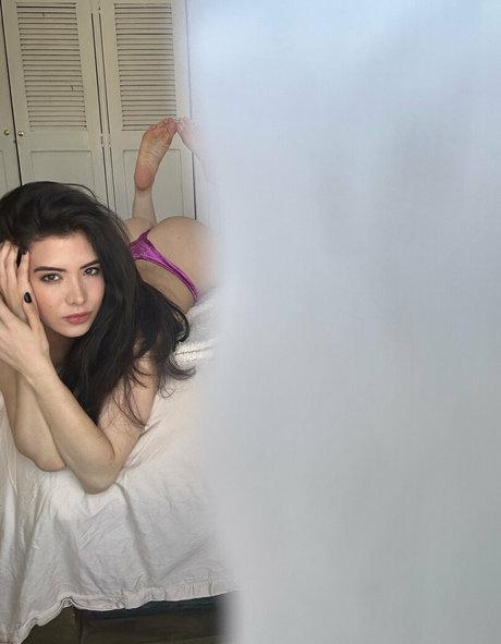 soifieeofficial 最高のスター 画像