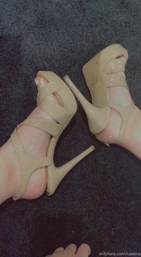 sawina 高品質モデル 写真