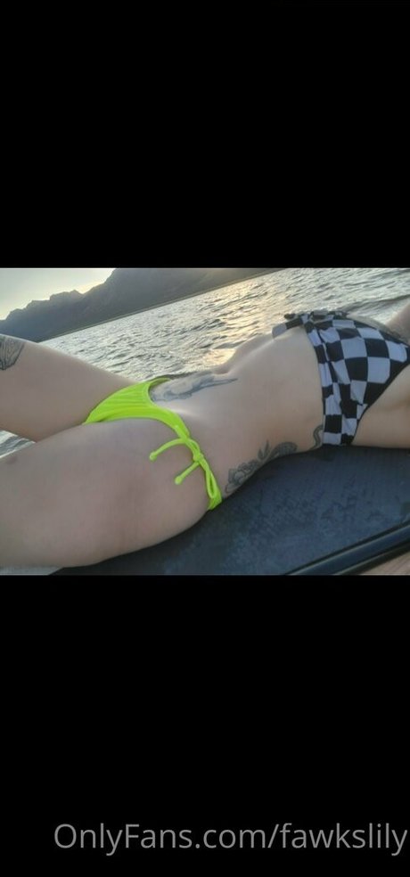 fawkslily 高品質スター 写真